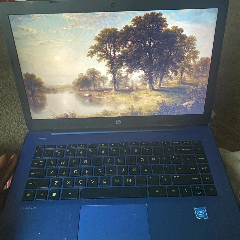 Blue Hp stream laptop